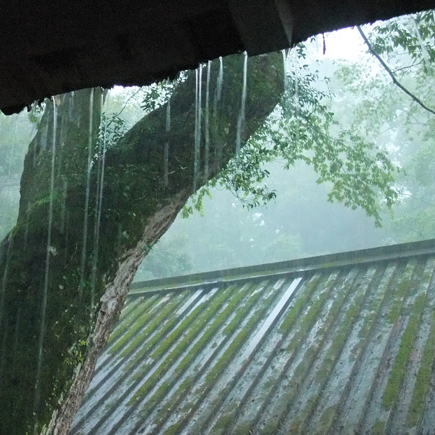 舞鶴　ゲリラ豪雨　雨漏り　修理