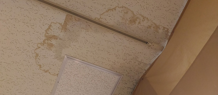 舞鶴　ゲリラ豪雨　雨漏り　修理